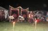Accidental Circus-4.JPG