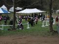 Field11.jpg