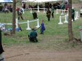 Field2.jpg