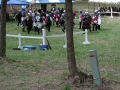 Field9.jpg